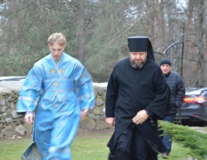 Скоропослушница 