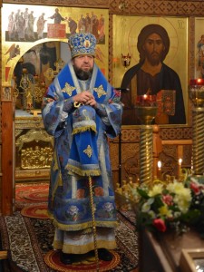 Скоропослушница                