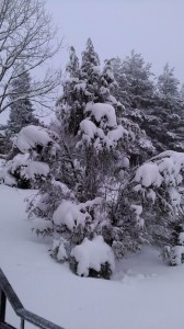 монастырь зимой       